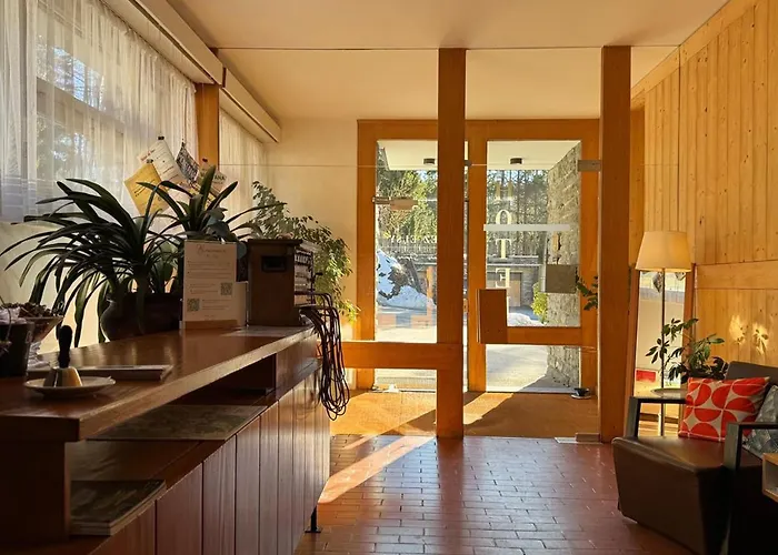 Historique Chez Elsy - Crans-sapins 酒店