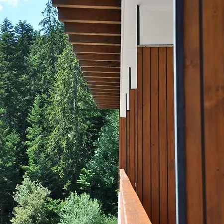 Historique Chez Elsy - Crans-sapins ホテル クラン